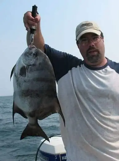 Large Atlantic Spadefish caught by an angler