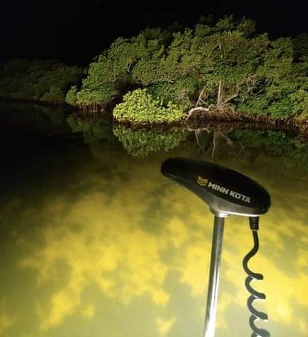 Bowfishing at night for sheepshead