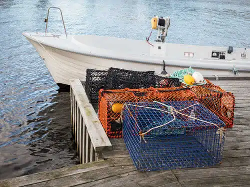 Load Up Your Pinfish Traps With These Tricks!