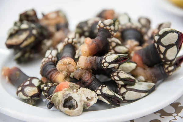 Can You Eat Barnacles?