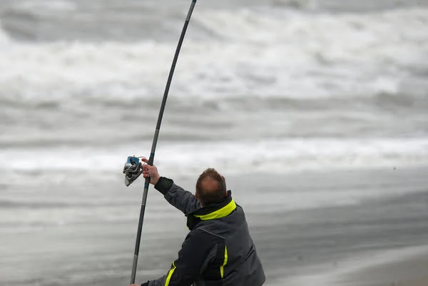 When Do Bluefish Run? A State-by-State Breakdown