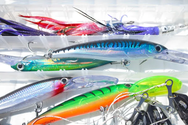 The 12 Best Bluefish Lures (& How To Fish Them!)