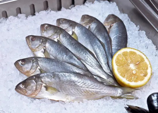 How To Make Bluefish Taste Good