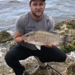 Are Mangrove Snappers Good To Eat