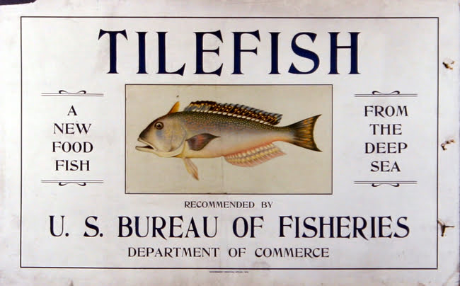 Are Tilefish Good To Eat?